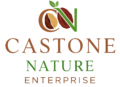 transparent logo
